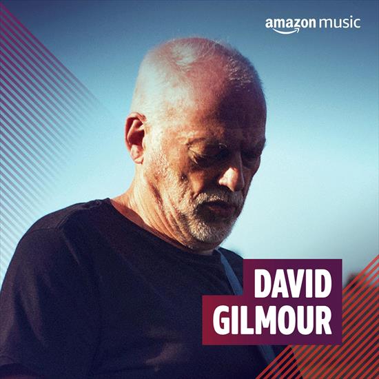 DJ Cook 59 - David Gilmour.jpg