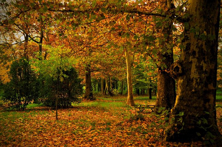 Kolory jesieni - Beautiful landscapes in pictures part 23 7.jpg
